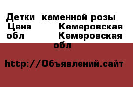 Детки “каменной розы“ › Цена ­ 50 - Кемеровская обл.  »    . Кемеровская обл.